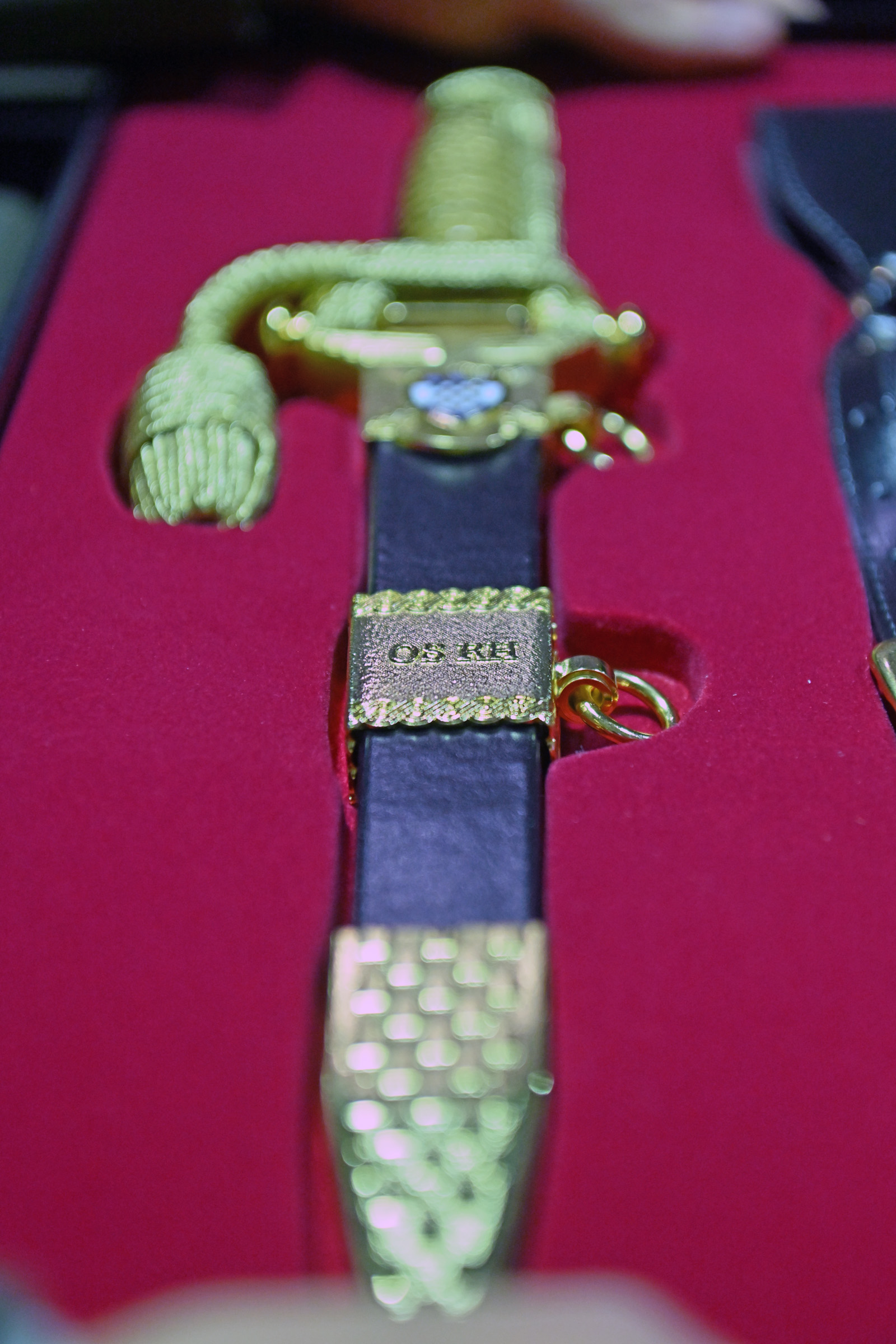 Mladi poručnici – nova snaga Hrvatske vojske